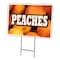 Signmission Peaches Yard Sign & Stake outdoor plastic coroplast window, C-2436 Peaches C-2436 Peaches - alternate 1